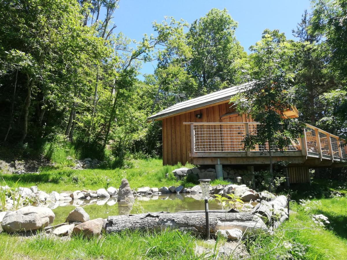 Saint-Julien-en-Champsaur Ma Cabane Des Hautes-Alpes מראה חיצוני תמונה